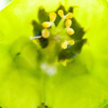 免费cc攻击测试